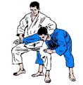 Les principales prises de judo Hara-gatame