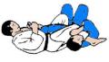 Les principales prises de judo Juji-gatame