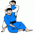 Les principales prises de judo Kata-ha-jime