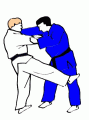 Les principales prises de judo Kuchiki-daoshi