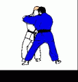 Les principales prises de judo O-guruma