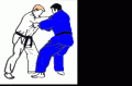 Les principales prises de judo Sumi-gaeshi