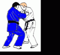 Les principales prises de judo Tani-otoshi