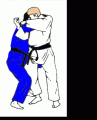 Les principales prises de judo Te-guruma