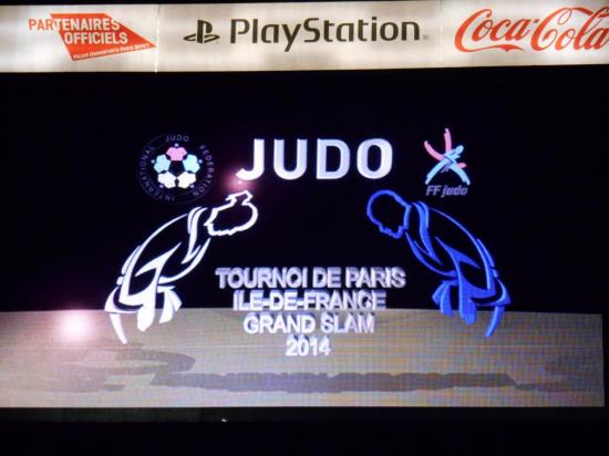 Tournoi de Paris-Ile-de-France 2014