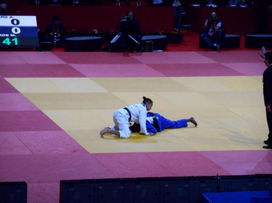 Tournoi de Paris-Ile-de-France 2014