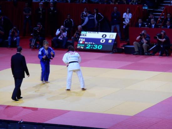 Tournoi de Paris-Ile-de-France 2014