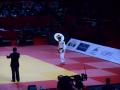 Tournoi de Paris-Ile-de-France 2014