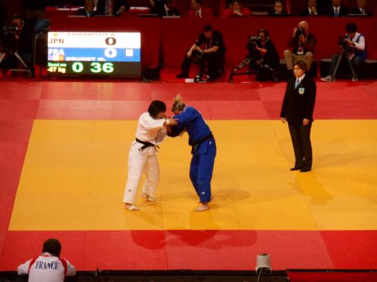 Tournoi de Paris-Ile-de-France 2014