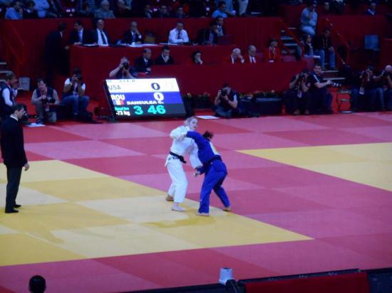 Tournoi de Paris-Ile-de-France 2014