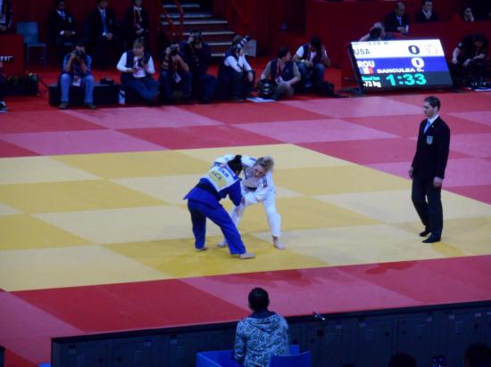 Tournoi de Paris-Ile-de-France 2014